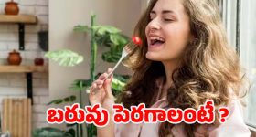 Weight Gain Tips: ఈ సింపుల్ టిప్స్‌తో.. ఈజీగా బరువు పెరుగుతారు