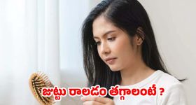 Hair Fall Control Tips: ఇవి వాడితే జుట్టు రాలడం వెంటనే ఆగిపోతుంది. తెలుసా ?