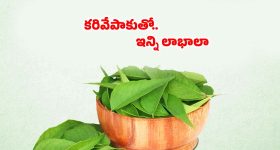 Tirumala News: భక్తులకు తీరిన కష్టాలు.. ఆ సమస్య పోయినట్టే