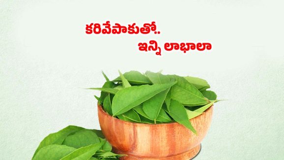 Curry Leaves Benefits: ఉదయం ఖాళీ కడుపుతో కరివేపాకు తింటే.. వ్యాధులు రమ్మన్నా రావు