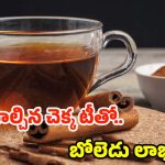 Cinnamon Tea: ఈ టీ తాగితే.. ఆరోగ్య సమస్యలు రమ్మన్నా రావు