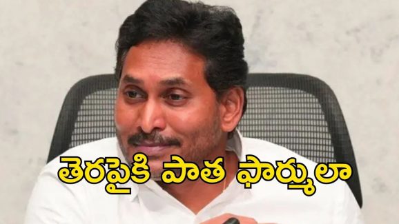 YSRCP: జాగ్రత్తగా వైసీపీ అడుగులు.. ఈసారి ఆ విధంగా ముందుకు