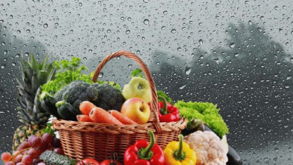 Monsoon Diet: వర్షాకాలం ఏం తినాలి ? ఏం తినకూడదు ?