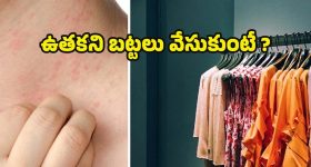 Tractor Viral Video: అది మంచం అనుకున్నావా? హైవేపై ట్రాక్టర్‌పై పడుకొని డ్రైవింగ్.. మన స్టేట్‌లోనే!