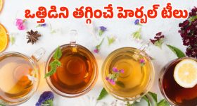 AP Hidden Places: ఏపీలో తెలియని అరుదైన ప్రదేశాలు ఇవే.. ఇప్పుడే ట్రిప్ ప్లాన్ చేయండి!