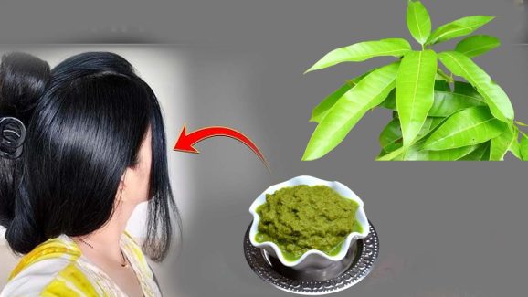 Mango Leaves For Hair: మామిడి ఆకులను ఇలా వాడితే.. జుట్టు వద్దన్నా పెరుగుతుంది తెలుసా ?