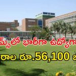 AIIMS: ఎయిమ్స్‌లో 220 ఉద్యోగాలు.. మంచి వేతనం.. ఈ అర్హత ఉంటే చాలు