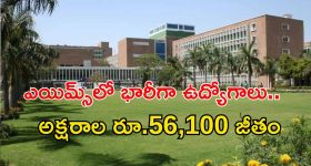 AIIMS: ఎయిమ్స్‌లో 220 ఉద్యోగాలు.. మంచి వేతనం.. ఈ అర్హత ఉంటే చాలు