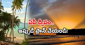 Priyanka Jain: నన్ను పెళ్ళిచేసుకో.. మోకాళ్ల పై పడి వేడుకున్న నటి!