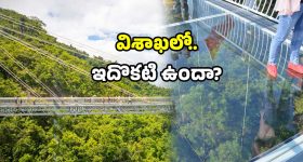 AP Glass Bridge: విదేశాలకు ఎందుకు డబ్బులు దండగ.. ఇక వైజాగ్ కే వెళ్లండి.. ఎందుకంటే?