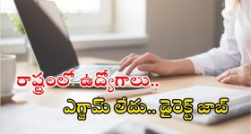 Curry Leaves Hair Oil: కరివేపాకుతో ఈ హెయిర్ ఆయిల్ ట్రై చేయండి.. పొడవాటి జుట్టు మీ సొంతం