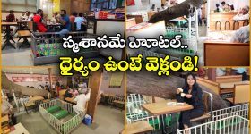 Talliki Vandanam Scheme: తల్లికి వందనం డబ్బులు ఆలస్యమా? చివరి తేదీపై అసలు నిజం ఇదే!