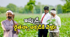 Annadata Sukhibhava 2025: రైతులకు లాస్ట్ ఛాన్స్.. రూ. 20 వేలు జమ అయ్యేందుకు ఇలా చేయండి!