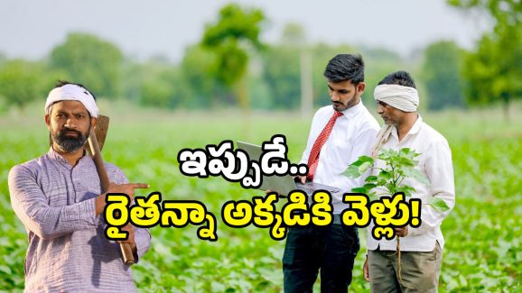 Annadata Sukhibhava 2025: రైతులకు లాస్ట్ ఛాన్స్.. రూ. 20 వేలు జమ అయ్యేందుకు ఇలా చేయండి!