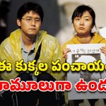 OTT Movie : కుక్కలంటేనే పడని హీరో… ఓవైపు డాగ్స్ కిడ్నాప్, మిస్సింగ్… మరోవైపు మైండ్ బెండ్ అయ్యే ట్విస్టులు