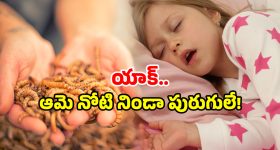 Rain Alert: ముంచుకోస్తున్న భారీ వర్షాలు.. వారం రోజులు దంచుడే దంచుడు