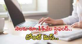 Rashmika -Sai pallavi: రష్మిక ముందు సాయి పల్లవి వేస్ట్.. పరువు తీసిన డైరెక్టర్?