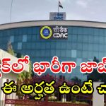 CDAC : సీడ్యాక్ నుంచి భారీ నోటిఫికేషన్.. ఈ అర్హతలు ఉంటే చాలు.. ఉద్యోగం మీదే