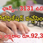 CHSL Jobs: ఇంటర్‌‌తో భారీ ఉద్యోగాలకు నోటిఫికేషన్ విడుదల.. ఈ జాబ్ వస్తే లైఫ్ సెట్