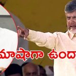 CM Chandrababu: జగన్‌‌కు సీఎం చంద్రబాబు వార్నింగ్, రౌడీయిజం చేస్తామంటే ఉపేక్షించం