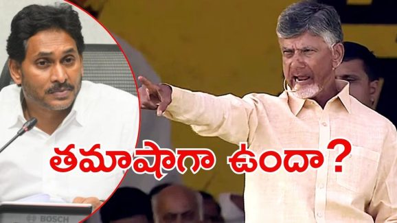 CM Chandrababu: జగన్‌‌కు సీఎం చంద్రబాబు వార్నింగ్, రౌడీయిజం చేస్తామంటే ఉపేక్షించం