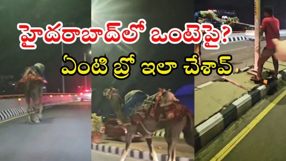 HYDERABAD: ఫుల్‌గా తాగేసి ఒంటెపై.. ఓరి వీడి వేశాలో.. వైరల్ వీడియో