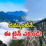 Chenab Railway Bridge: గుండె ఉక్కిరి బిక్కిరి చేసే రైలు రైడ్.. ఎక్కడో కాదు.. మన దేశంలోనే!