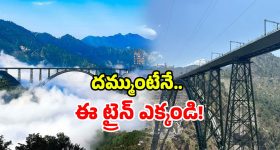 RCB Fans : RCB విజయం.. రొమాన్స్ చేసుకుంటూ దొరికిపోయిన లవర్స్