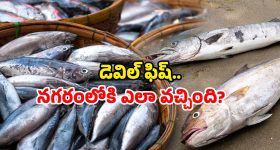 Indian Airlines: మిడిల్ ఈస్ట్ లో ఉద్రిక్తతలు, భారత విమానయాన సంస్థల కీలక నిర్ణయం!