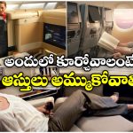 Economy vs Business:  విమానంలో ఎకానమీ, బిజినెస్ క్లాస్ మధ్య ఇంత తేడానా? మీరు అస్సలు నమ్మలేరు!