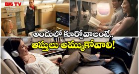 Economy vs Business:  విమానంలో ఎకానమీ, బిజినెస్ క్లాస్ మధ్య ఇంత తేడానా? మీరు అస్సలు నమ్మలేరు!