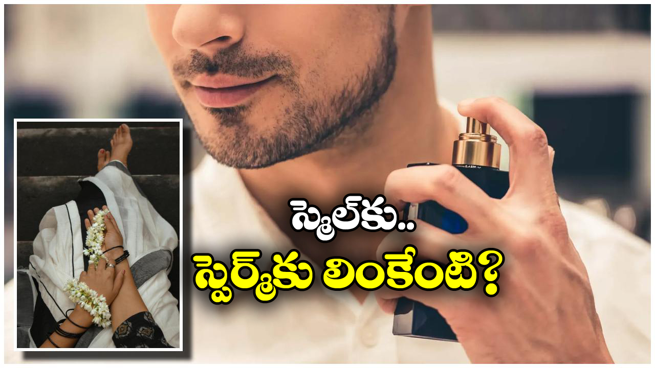 Perfumes: ఈ మత్తెక్కించే వాసనలు.. మగతనాన్ని పెంచుతాయట, బెడ్ రూమ్ లో రెచ్చిపోండి ఇక!