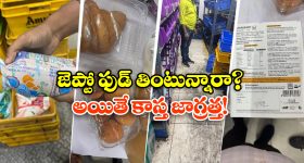 Zepto’s License Suspends: పాచిపోయిన ఫుడ్స్, గడువు తీరిన డ్రింక్స్.. సీన్ కట్ చేస్తే జెప్టో లైసెన్స్ క్యాన్సిల్!