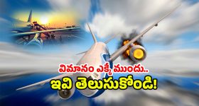 Flight Safety Tips: విమానం కూలిపోయే ముందు ఇలా చేస్తే.. ప్రాణం సేఫ్!