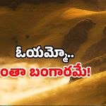 Gold Mines in AP: ఆ కొండంతా బంగారమే.. ఈ టాక్ వెనుక అసలు మిస్టరీ ఇదే!