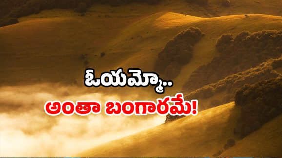 Gold Mines in AP: ఆ కొండంతా బంగారమే.. ఈ టాక్ వెనుక అసలు మిస్టరీ ఇదే!