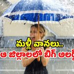 IMD Alerts: 6 రోజులు భారీ వర్షాల దాడి! దక్షిణ రాష్ట్రాల్లో అలర్ట్.. బయటికి వెళ్ళకండి!