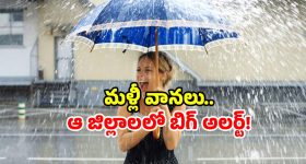 IMD Alerts: 6 రోజులు భారీ వర్షాల దాడి! దక్షిణ రాష్ట్రాల్లో అలర్ట్.. బయటికి వెళ్ళకండి!