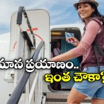 Budget Travel: తక్కువ ఖర్చుతో విమాన ప్రయాణం చేయాలా? సింపుల్ గా ఈ టిప్స్ పాటించండి!