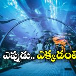Tunnel Style Aquarium: భాగ్యనగరంలో అద్భుతం, దేశంలోనే అతి పెద్ద టన్నెల్ అక్వేరియం!