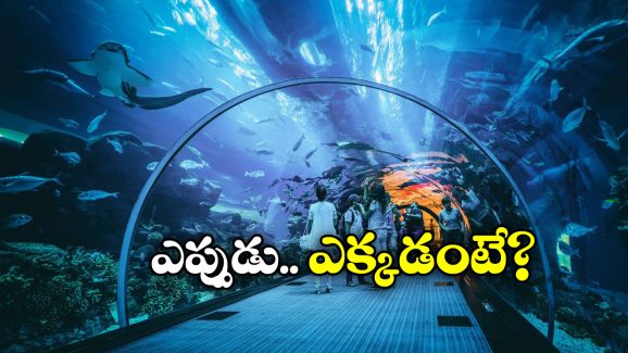 Tunnel Style Aquarium: భాగ్యనగరంలో అద్భుతం, దేశంలోనే అతి పెద్ద టన్నెల్ అక్వేరియం!
