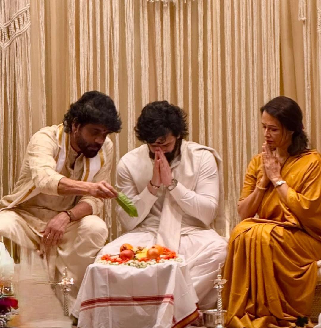 Akkineni Akhil Zainab Wedding Photos