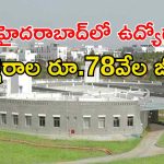 INCOIS Jobs: డిగ్రీతో హైదరాబాద్‌లో ఉద్యోగాలు.. మంచి వేతనం, వారం రోజులే గడువు