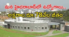 INCOIS Jobs: డిగ్రీతో హైదరాబాద్‌లో ఉద్యోగాలు.. మంచి వేతనం, వారం రోజులే గడువు