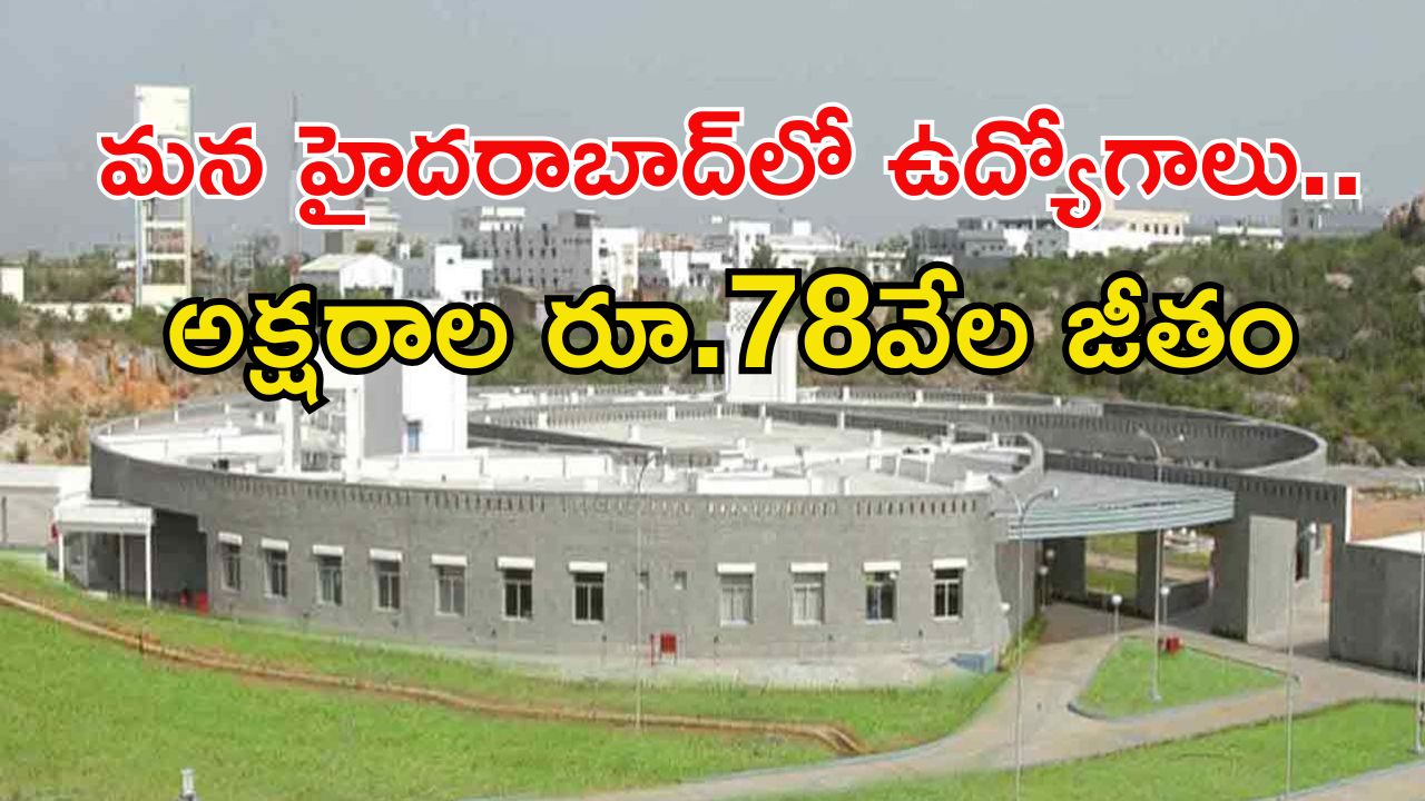 INCOIS Jobs: డిగ్రీతో హైదరాబాద్‌లో ఉద్యోగాలు.. మంచి వేతనం, వారం రోజులే గడువు