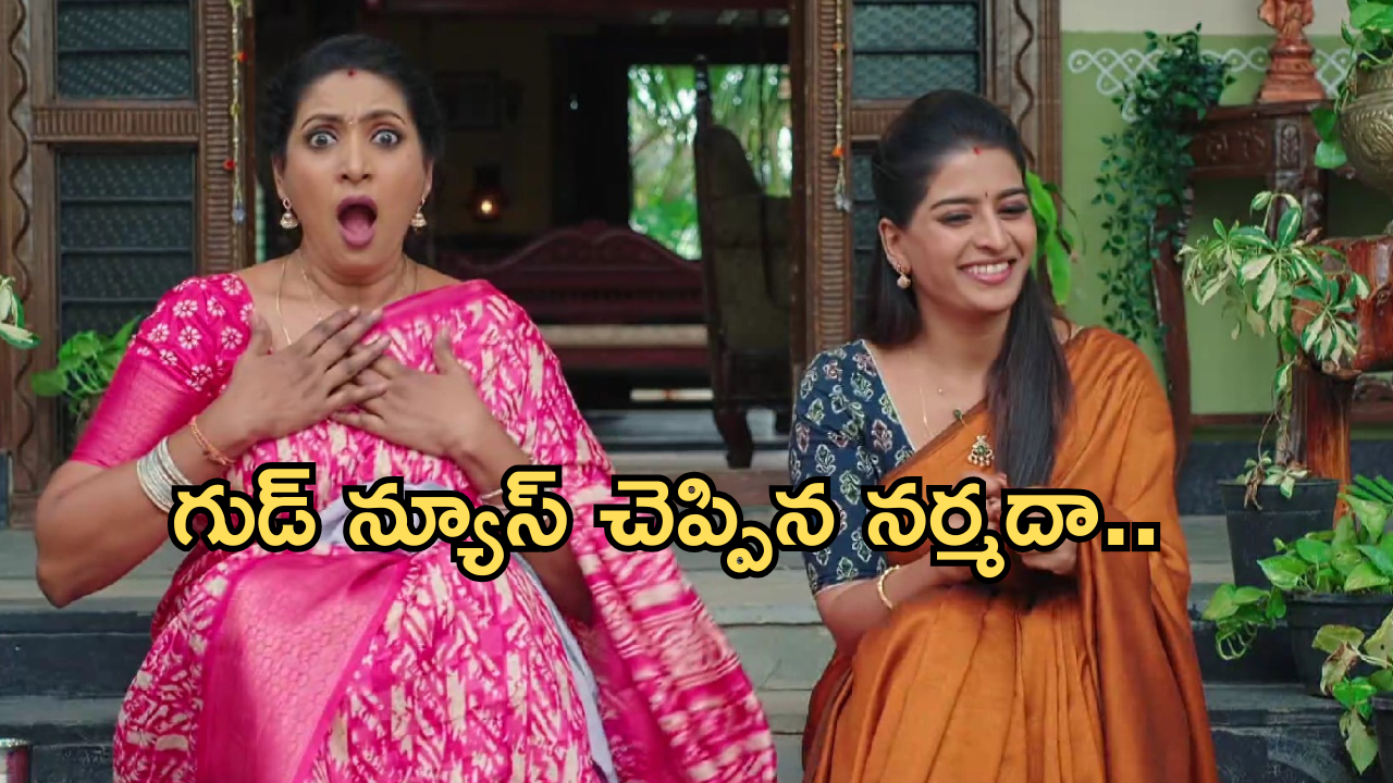 Illu Illalu Pillalu Today Episode: ప్రేమకు ధీరజ్ వార్నింగ్.. ధీరజ్ పై విశ్వం రివేంజ్..వేదవతిని టార్గెట్ చేసిన శ్రీవల్లి..