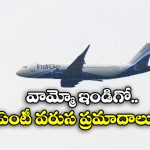 IndiGo flight: విమానాన్ని ఢీకొట్టిన రాబందు, ఇండిగో ఫ్లైట్ ఎమర్జెన్సీ ల్యాండింగ్!