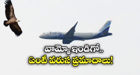 Esther Anil: వెంకటేష్ రీల్ కూతురు ఏంట్రా ఇంత హాట్ గా ఉంది.. దేవుడా ఆ అందాలు..