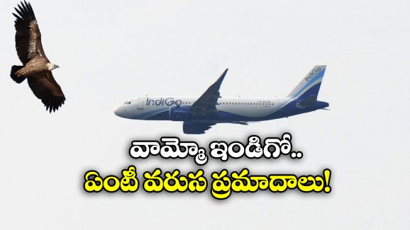 IndiGo flight: విమానాన్ని ఢీకొట్టిన రాబందు, ఇండిగో ఫ్లైట్ ఎమర్జెన్సీ ల్యాండింగ్!
