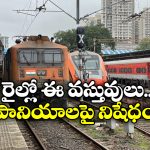 Indian Railway Rules: రైలులో ఈ కాయ పట్టుకెళ్తున్నారా? జాగ్రత్త.. జైల్లో పెడతారు!